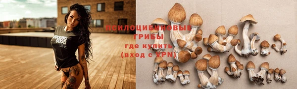 ГАЛЛЮЦИНОГЕННЫЕ ГРИБЫ Балахна