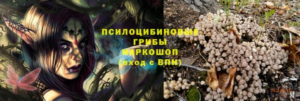 мдпв Балабаново