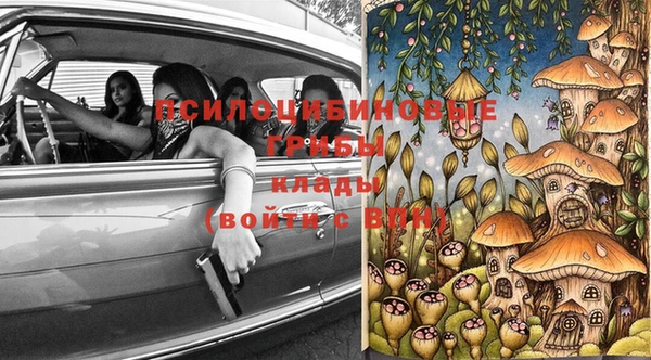 ГАЛЛЮЦИНОГЕННЫЕ ГРИБЫ Балахна
