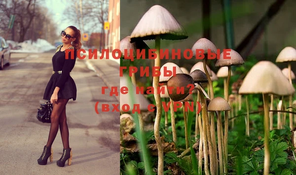 мдпв Балабаново