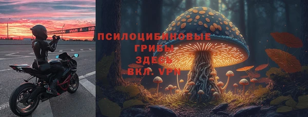ГАЛЛЮЦИНОГЕННЫЕ ГРИБЫ Балахна